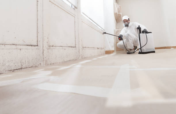 24/7 Emergency Attic Mold Remediation experts in Columbia, MD