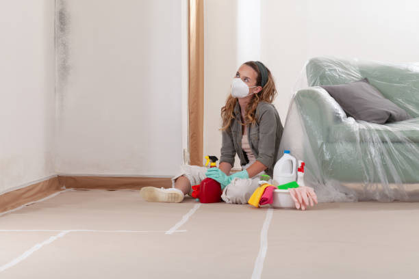 Reliable Attic Mold Remediation contractor in Columbia, MD by 24 Hour Mold Removal