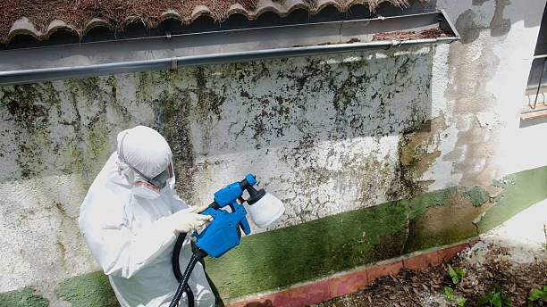 Top rated local Attic Mold Remediation specialists in Columbia, MD